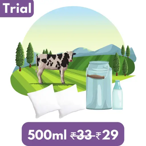 Fresh Cow Milk - 500ml - for 7 Days